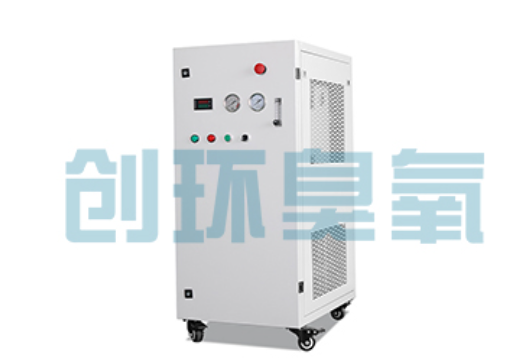 城口石斑鱼养殖水质调控完整指南：臭氧发生器配置与操作步骤