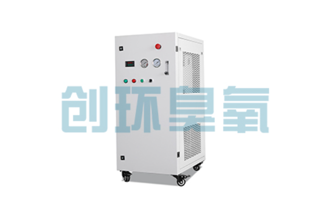 城口比传统换水更高效？臭氧发生器在石斑鱼养殖中的水质净化原理解析
